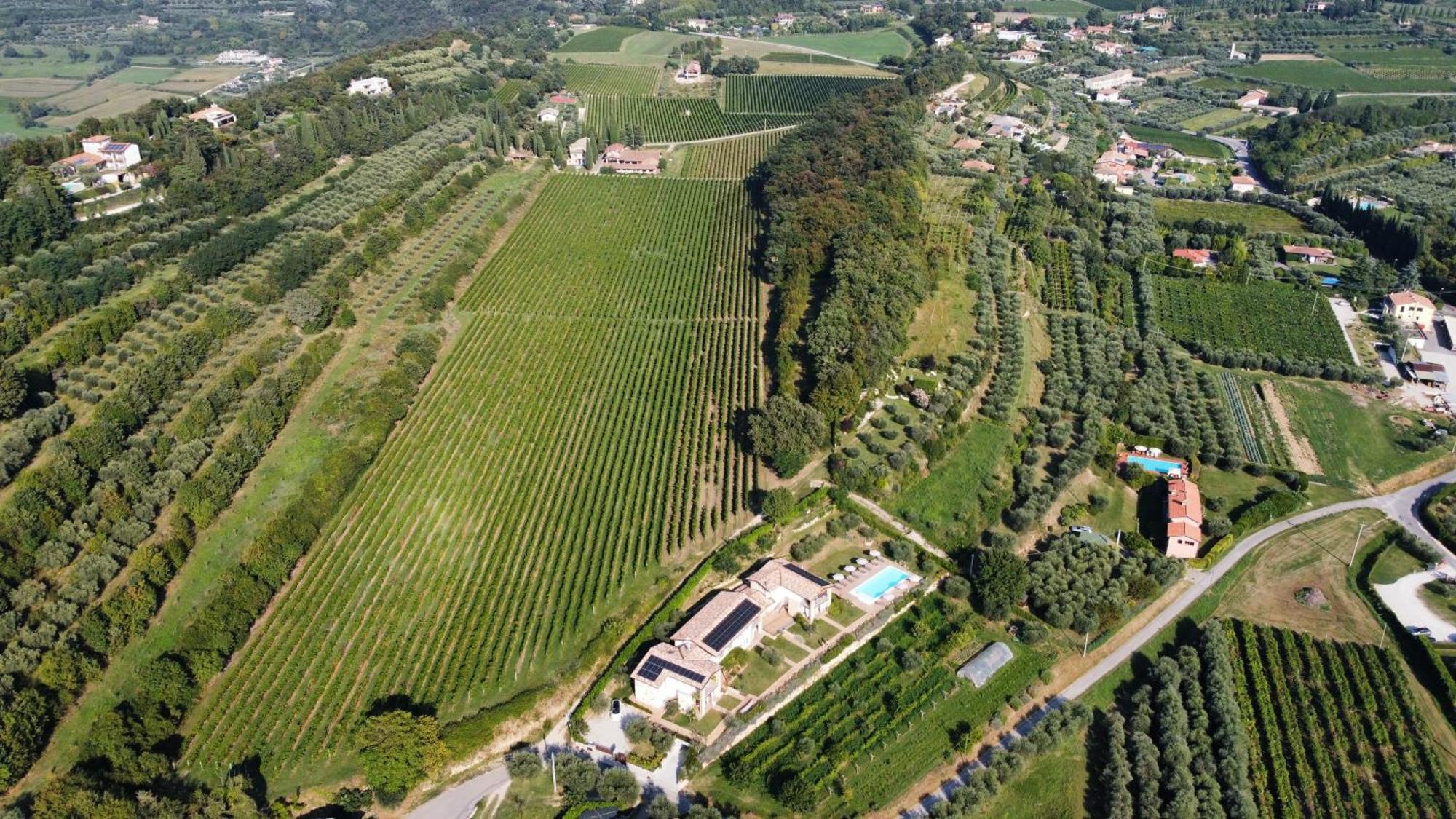 Casa Olivi Apartments Bardolino Esterno foto