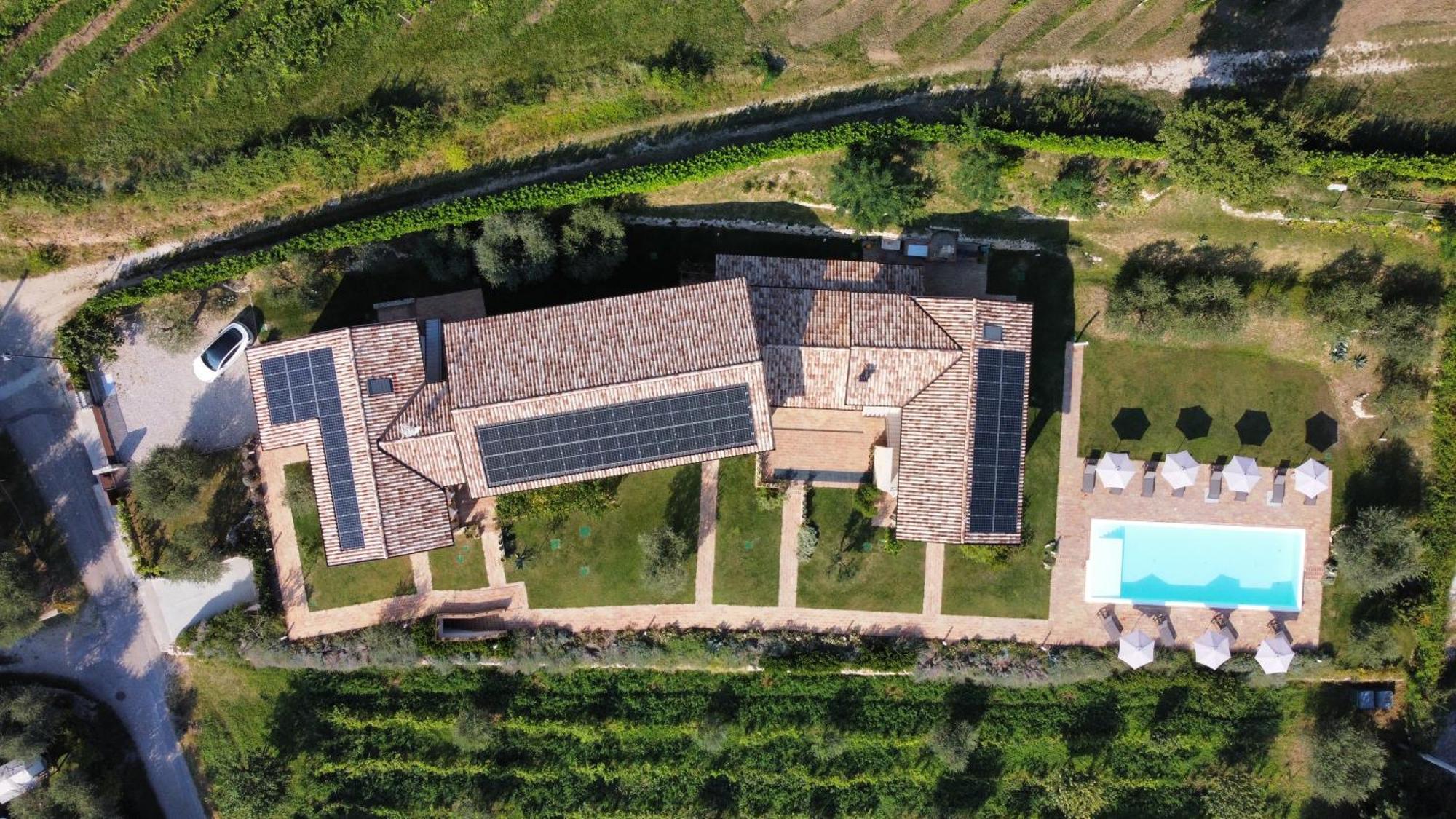 Casa Olivi Apartments Bardolino Esterno foto